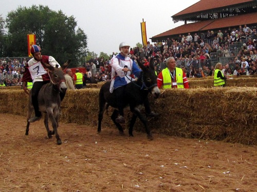 фестиваль тюфелей